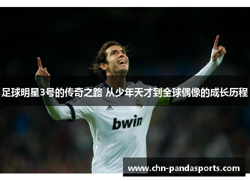 足球明星3号的传奇之路 从少年天才到全球偶像的成长历程 足球明星3号的传奇之路 从少年天才到全球偶像的成长历程