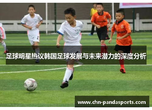 足球明星热议韩国足球发展与未来潜力的深度分析 足球明星热议韩国足球发展与未来潜力的深度分析