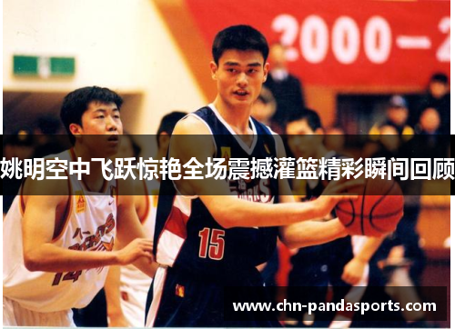 姚明空中飞跃惊艳全场震撼灌篮精彩瞬间回顾 姚明空中飞跃惊艳全场震撼灌篮精彩瞬间回顾