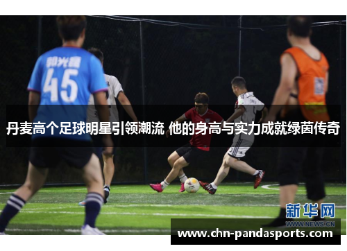 丹麦高个足球明星引领潮流 他的身高与实力成就绿茵传奇