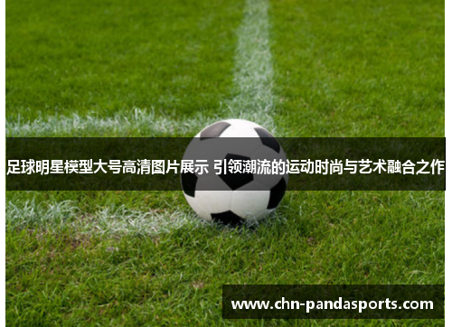 足球明星模型大号高清图片展示 引领潮流的运动时尚与艺术融合之作 足球明星模型大号高清图片展示 引领潮流的运动时尚与艺术融合之作