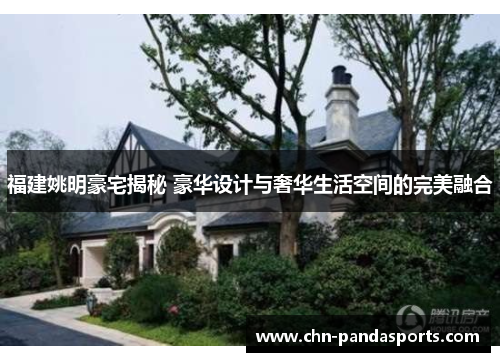 福建姚明豪宅揭秘 豪华设计与奢华生活空间的完美融合