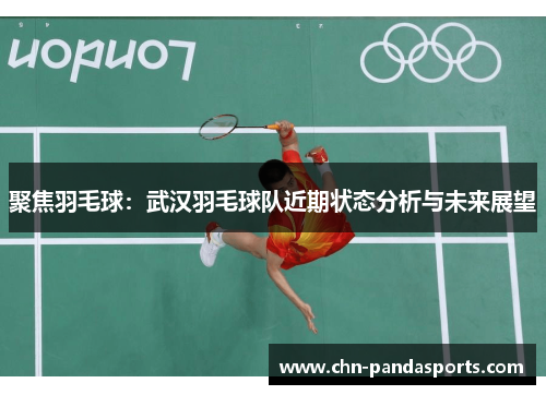 聚焦羽毛球：武汉羽毛球队近期状态分析与未来展望