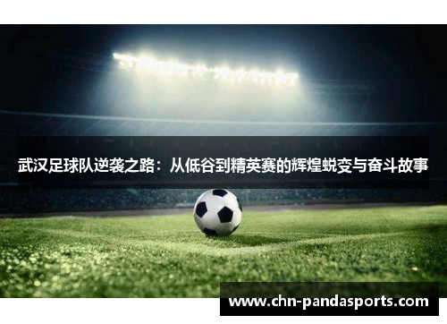 武汉足球队逆袭之路：从低谷到精英赛的辉煌蜕变与奋斗故事