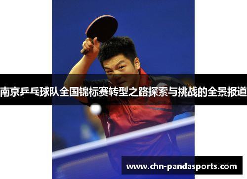 南京乒乓球队全国锦标赛转型之路探索与挑战的全景报道