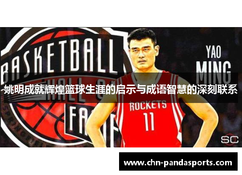 姚明成就辉煌篮球生涯的启示与成语智慧的深刻联系